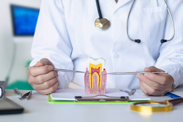 Best After-Hours Emergency Dentist in Wallingford Center, CT